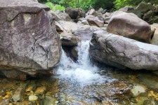 약초농원 캠핑장