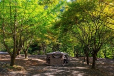 약초농원 캠핑장