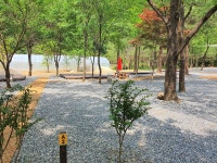 포레스트힐링캠프 고캠핑