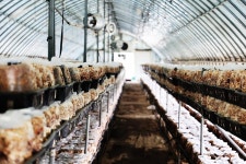 고성 탑 글램핑 농원 고캠핑