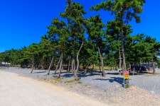 어은돌오토캠핑장