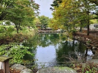 유명산밸리 캠핑장