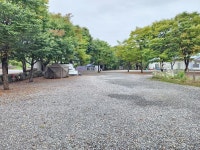 유명산밸리 캠핑장