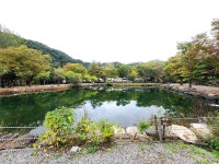 유명산밸리 캠핑장