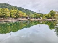 유명산밸리 캠핑장