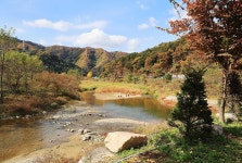 포천그린별캠핑장 고캠핑
