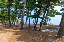 벌천포오토캠핑장