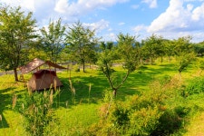 왕산골 관광농원