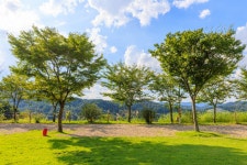 왕산골 관광농원