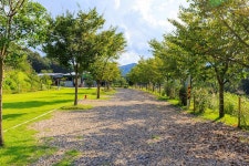 왕산골 관광농원