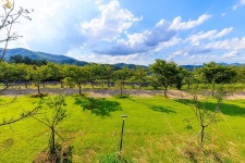 왕산골 관광농원