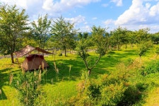 왕산골 관광농원