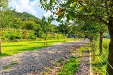 왕산골 관광농원