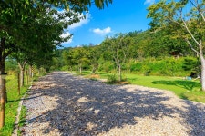 왕산골 관광농원