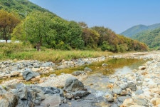 포레스트캐빈앤캠프 고캠핑