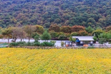 포레스트캐빈앤캠프 고캠핑