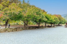 포레스트캐빈앤캠프 고캠핑