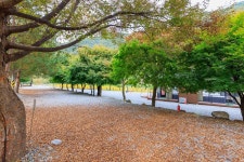 포레스트캐빈앤캠프 고캠핑