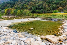 포레스트캐빈앤캠프 고캠핑