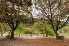 포레스트캐빈앤캠프 고캠핑