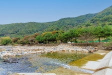 포레스트캐빈앤캠프 고캠핑