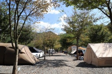 보랏빛오토캠핑장