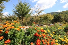 보랏빛오토캠핑장