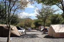 보랏빛오토캠핑장