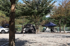 보랏빛오토캠핑장