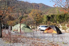 캠프원 고캠핑