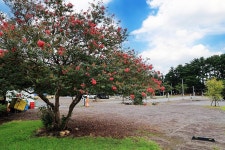 녹고뫼캠핑장 관광농원