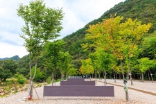 신월리 오토캠핑장