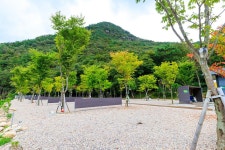 신월리 오토캠핑장