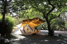 알프스펜션 캠핑&글램핑 고캠핑