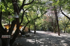 알프스펜션 캠핑&글램핑 고캠핑