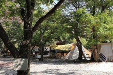 알프스펜션 캠핑&글램핑 고캠핑