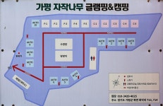 가평자작나무글램핑 고캠핑