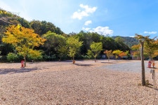 돌고래 오토 캠핑장 고캠핑