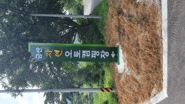 금산 자연 오토캠핑장 고캠핑