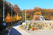 달그린캠프