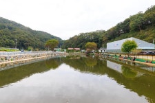 은성낚시공원캠핑장 고캠핑