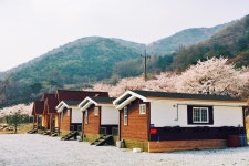 소백산자연누리야영장 고캠핑
