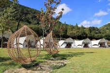 월아산 자연휴양림 고캠핑