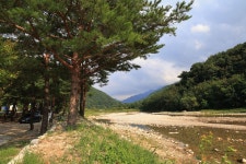 한계2리 솔밭야영장