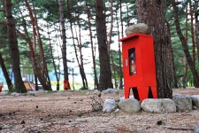 한계2리 솔밭야영장