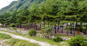 한계2리 솔밭야영장 고캠핑