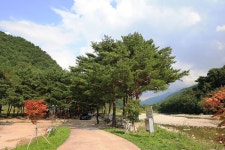 한계2리 솔밭야영장