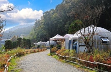 햇골글램핑 고캠핑