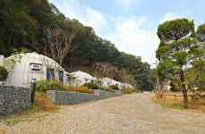 햇골글램핑 고캠핑