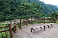 내린천 글램핑 고캠핑